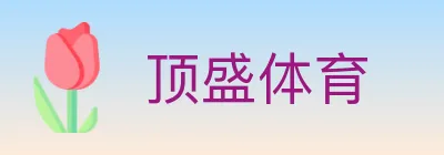 顶盛体育 logo